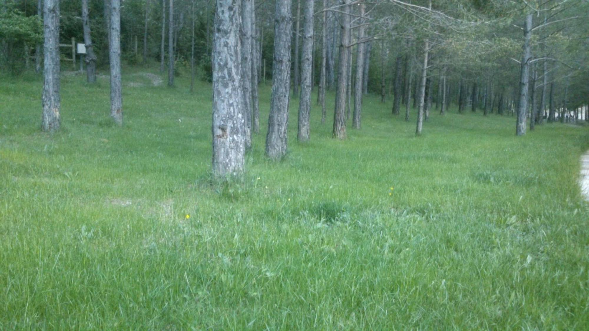 Camping L'Espelt La Pobla de Lillet Buitenkant foto